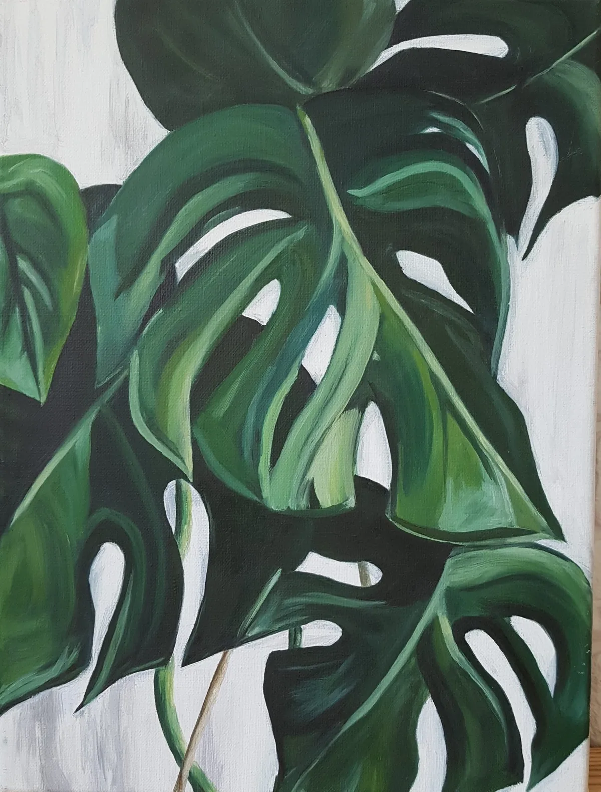 Monstera Leaves — oil on canvas, 30 × 40 cm